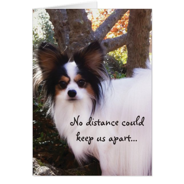 NO distance could keep us apart Papillon Card (Front)