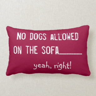 No Dogs Allowed Lumbar Pillow