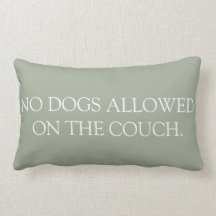 No Dogs Allowed on the Couch lumbar pillow.