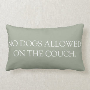 No Dogs Allowed on the Couch lumbar pillow. Pillow