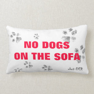 No dogs on the sofa pillow
