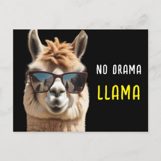 No Drama Llama Cool Alpaca with Sunglasses Funny   Postcard