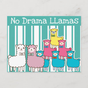 No Drama Llamas Postcard