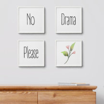 No Drama Please