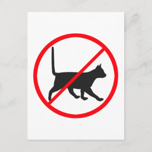 No Entry For Cats! Postcard