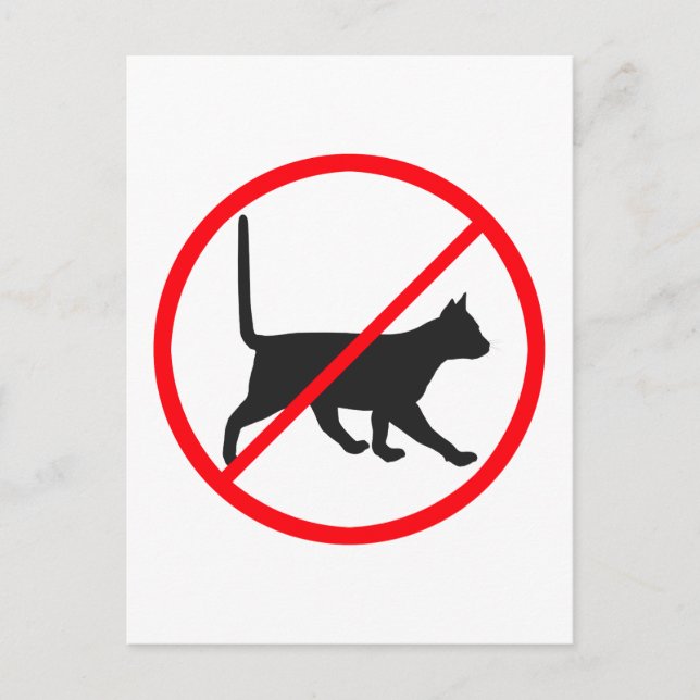 No Entry For Cats! Postcard (Front)