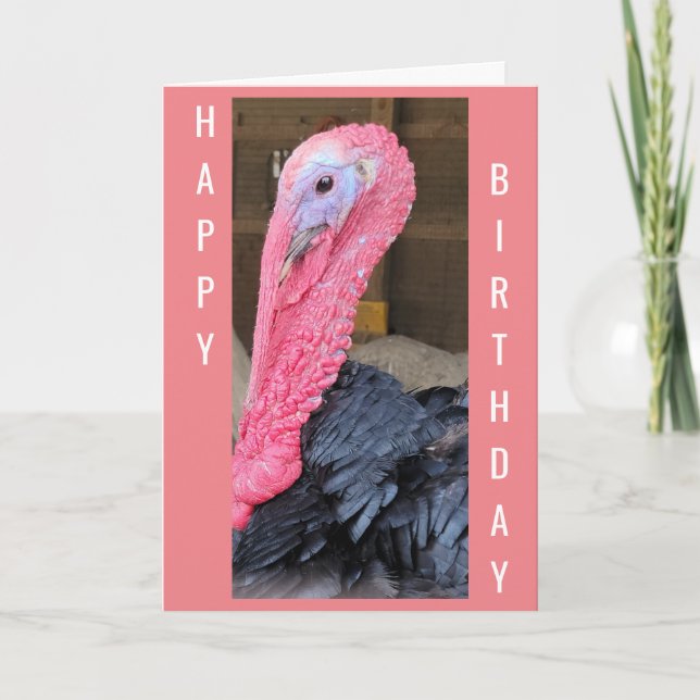 NO **FOWL PLAY HERE** JUST HAPPY BIRTHDAY WISHES CARD (Front)