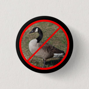 No Geese Allowed 1 Inch Round Button