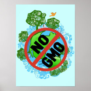 NO GMO POSTER