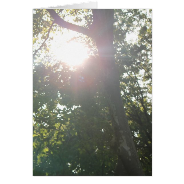 No Good Reason (Front)