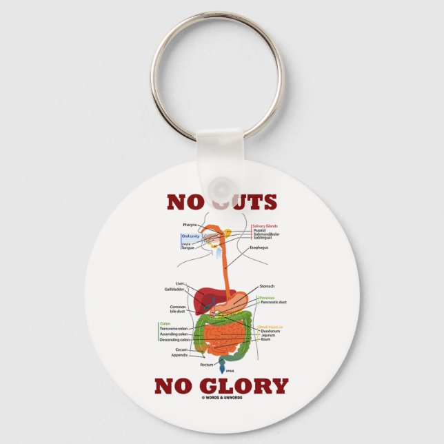 No Guts No Glory (Digestive System Anatomy Humour) Keychain (Front)