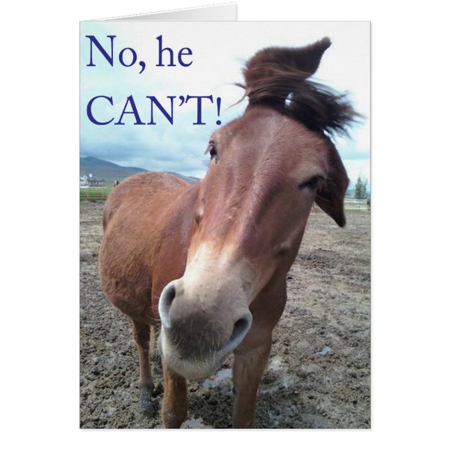 No he CAN'T! Donkey (Front)