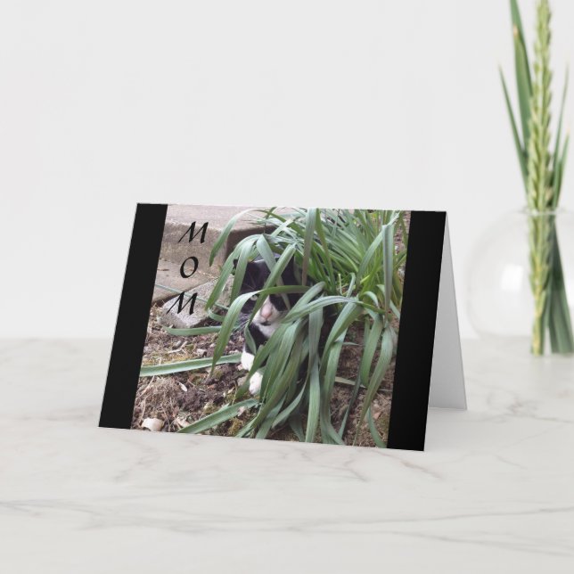 NO HIDING FROM THE TRUTH "BEST MOM" IN THE WORLD CARD (Front)