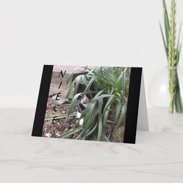 NO HIDING FROM THE TRUTH "BEST NIECE" IN THE WORLD CARD (Front)