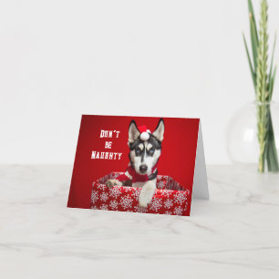 No Humbug Christmas Greeting Card