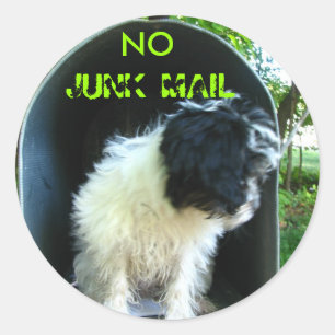 No JUNK MAIL PUPPY Classic Round Sticker