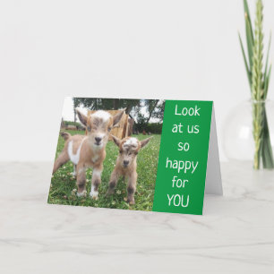 *NO KIDDING AROUND* WISH U BEST BIRTHDAY EVER! CARD