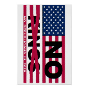 NO KINGS POSTER
