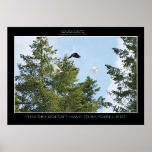 "NO LIMITS" Photo Print or Poster