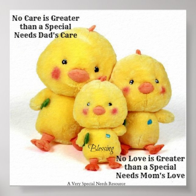 No Love/No Care is Great Special Needs Poster (Front)