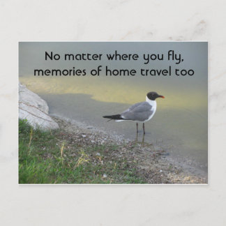 No Matter Where You Fly – 4.25” x 5.6” Postcard