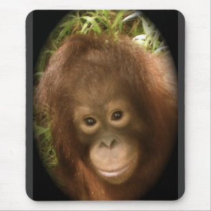 No Monkey Business Mouse Pad