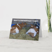 NO MOO-A COUP-SHARING BIRTHDAYS