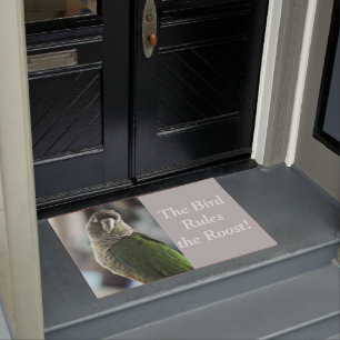 No more mock hedgehog doormat