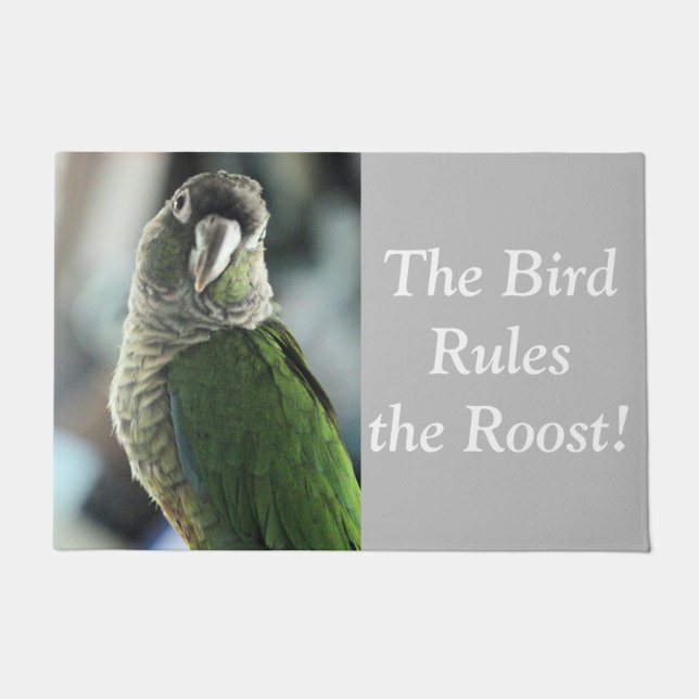 No more mock hedgehog doormat (Front)