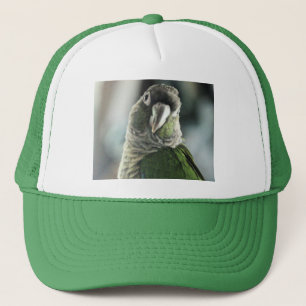 No more mock hedgehog trucker hat