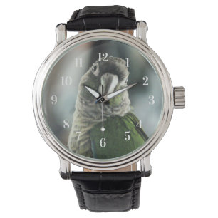 No more mock hedgehog watch