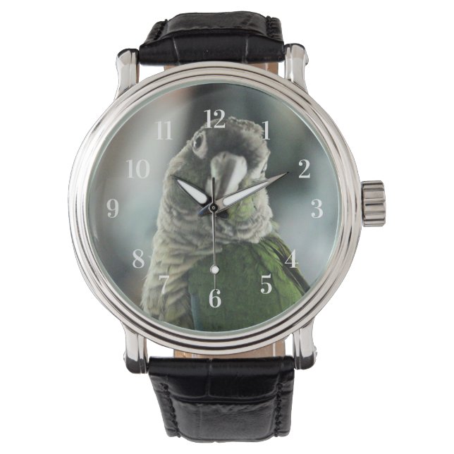 No more mock hedgehog watch (Front)