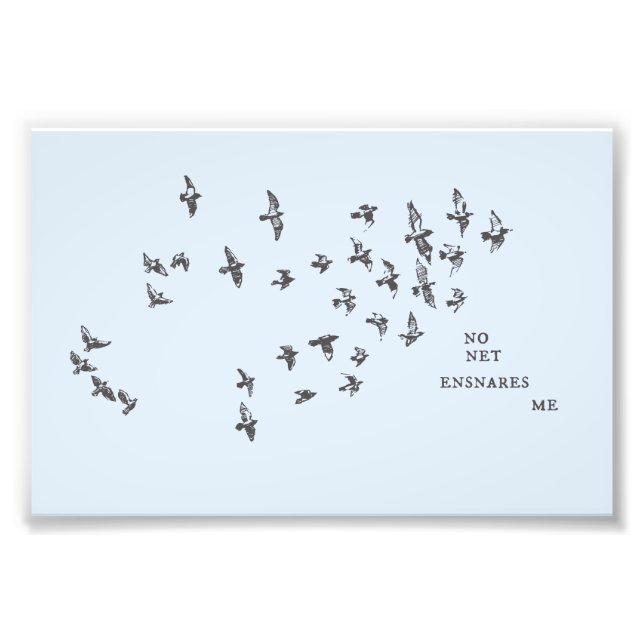 "No net ensnares me" + birds (black on pale blue) Photo Print (Front)
