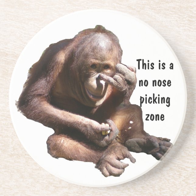 No Nose PIcking Zone Coaster (Front)
