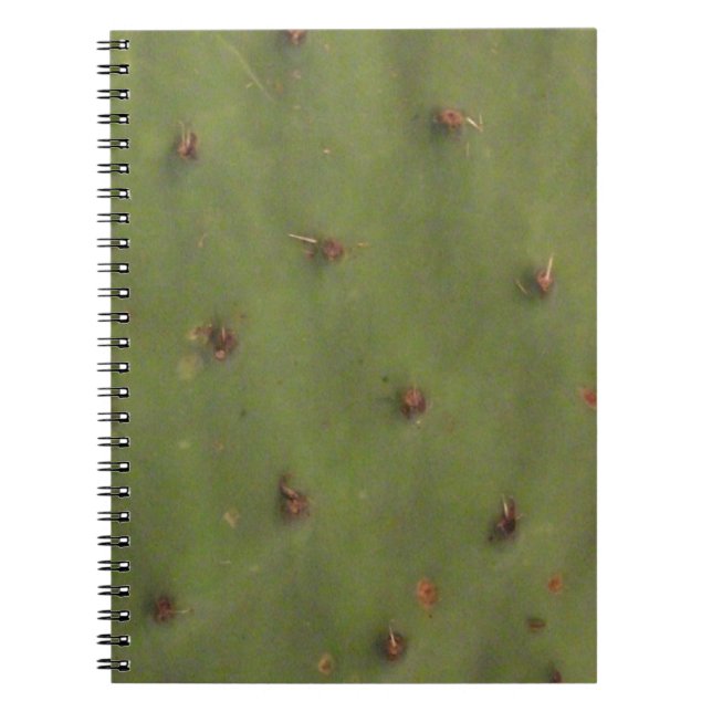 No Notebook (Front)