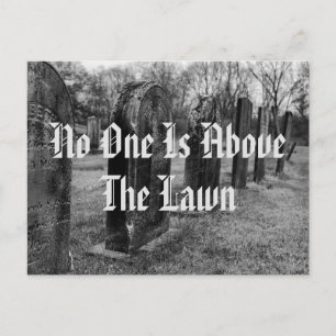 No One Is Above The Lawn Postcard