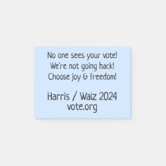 No One Sees Your Vote! GOTV Notes to Voters