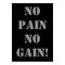 NO PAIN NO GAIN! Weightlifting Exercise Gym Poster