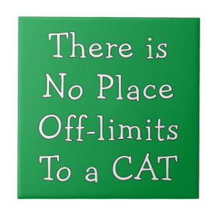 No Place Off-limits To a CAT Tile
