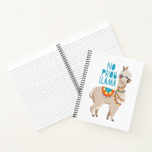 No Prob Llama Notebook