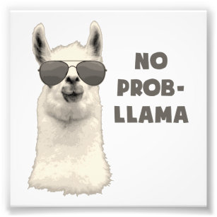 No Problem Llama Photo Print
