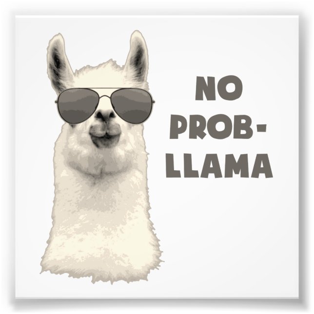 No Problem Llama Photo Print (Front)