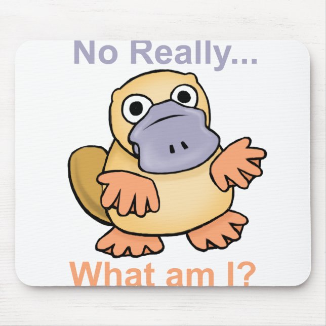 No Really... What am I? Platypus Mouse Pad (Front)