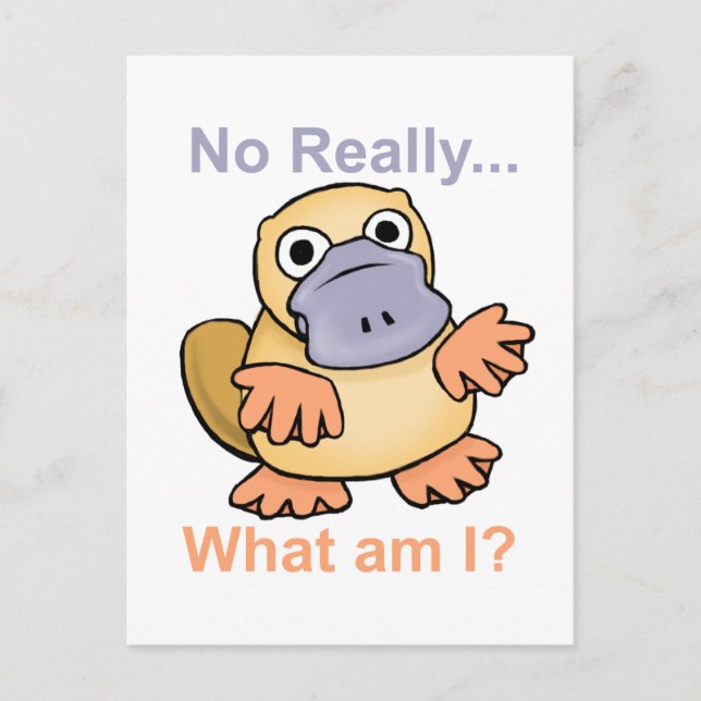 No Really... What am I? Platypus Postcard (Front)