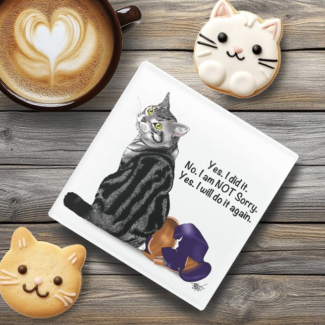 No Remorse Tabby Cat Funny Glass Coaster (Creator Uploaded)