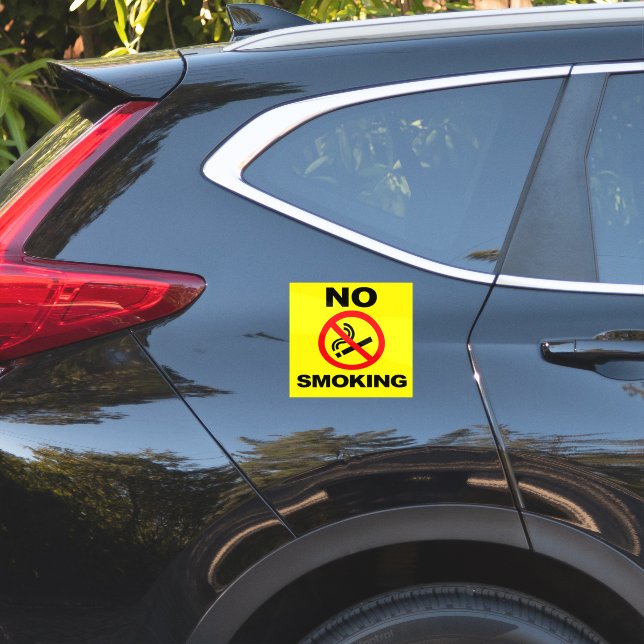 No Smoking Custom-Cut Vinyl Sticker (Car Back)