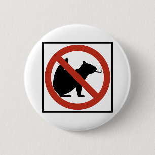 No Smoking Squirrels Allowed Highway Sign 2 Inch Round Button