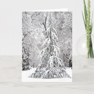 *No Snowflake Falls In the Wrong Place. Holiday Card