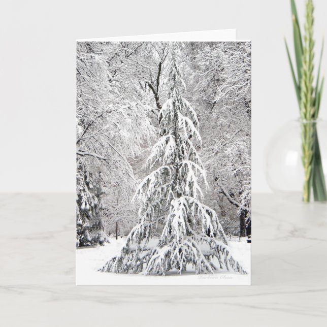 -No Snowflake Falls In the Wrong Place. Holiday Card (Front)