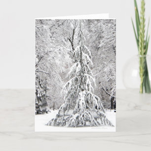 -No Snowflake Falls In the Wrong Place. Holiday Card